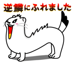 Mustela erminea okomaru & kojyo sticker #1011849