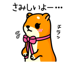 Mustela erminea okomaru & kojyo sticker #1011880