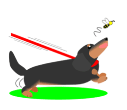 Dachshund Black & Tan (dog stamp series) sticker #1015274