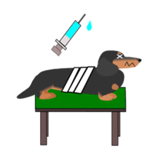 Dachshund Black & Tan (dog stamp series) sticker #1015276