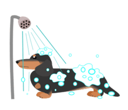 Dachshund Black & Tan (dog stamp series) sticker #1015277