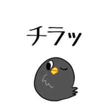ColorHIYOKO sticker #1017297