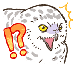 Raptors sticker (Owl,Eagle,Hawk,etc.) sticker #1022449