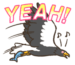 Raptors sticker (Owl,Eagle,Hawk,etc.) sticker #1022457