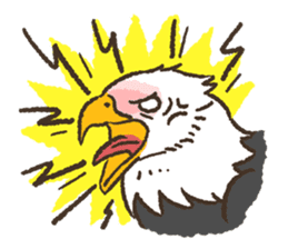 Raptors sticker (Owl,Eagle,Hawk,etc.) sticker #1022484