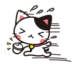 Cat that excuse cute (Without words) sticker #1024009