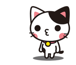 Cat that excuse cute (Without words) sticker #1024030