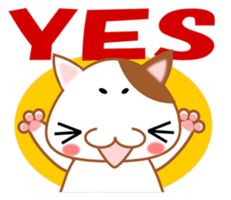 plain-looking cat Sticker sticker #1024344