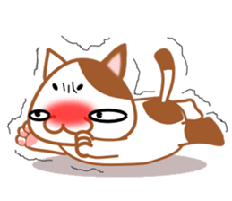 plain-looking cat Sticker sticker #1024348