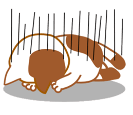 plain-looking cat Sticker sticker #1024349