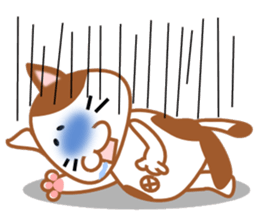 plain-looking cat Sticker sticker #1024350