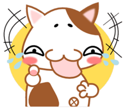 plain-looking cat Sticker sticker #1024356