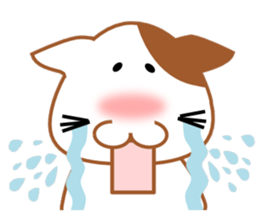 plain-looking cat Sticker sticker #1024357