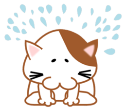 plain-looking cat Sticker sticker #1024365