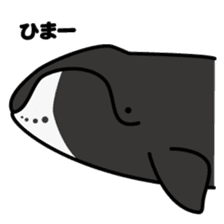 Whales & Dolphins around the world sticker #1027171