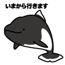 Whales & Dolphins around the world sticker #1027172