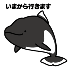 Whales & Dolphins around the world sticker #1027172