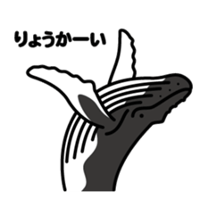 Whales & Dolphins around the world sticker #1027178