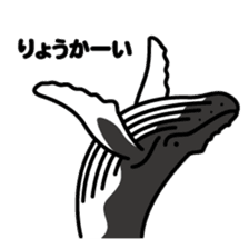 Whales & Dolphins around the world sticker #1027178