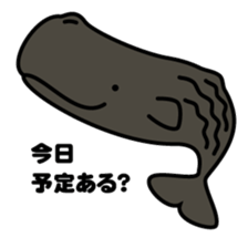 Whales & Dolphins around the world sticker #1027179