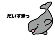 Whales & Dolphins around the world sticker #1027184