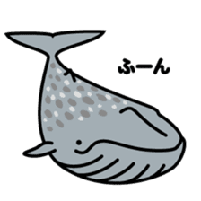 Whales & Dolphins around the world sticker #1027185