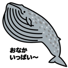 Whales & Dolphins around the world sticker #1027187