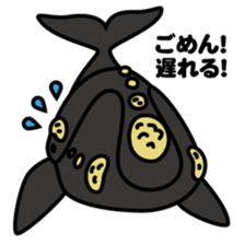 Whales & Dolphins around the world sticker #1027188