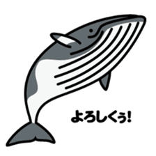 Whales & Dolphins around the world sticker #1027190