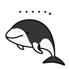 Whales & Dolphins around the world sticker #1027192