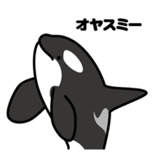 Whales & Dolphins around the world sticker #1027196