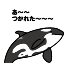 Whales & Dolphins around the world sticker #1027198