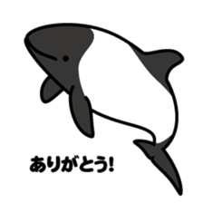 Whales & Dolphins around the world sticker #1027199