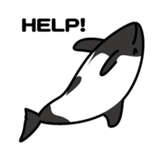 Whales & Dolphins around the world sticker #1027200