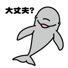 Whales & Dolphins around the world sticker #1027201