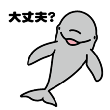 Whales & Dolphins around the world sticker #1027201