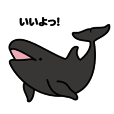 Whales & Dolphins around the world sticker #1027202