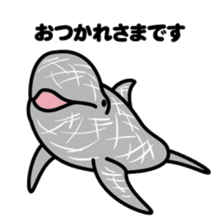 Whales & Dolphins around the world sticker #1027203