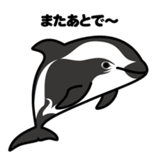 Whales & Dolphins around the world sticker #1027204