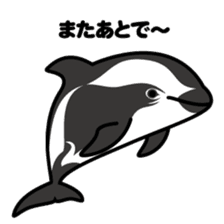 Whales & Dolphins around the world sticker #1027204