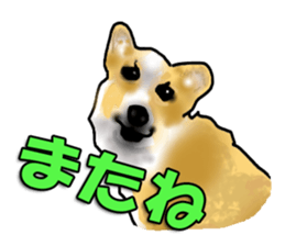 Ben and Hovey(Japanese version) sticker #1029710