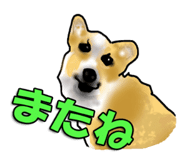 Ben and Hovey(Japanese version) sticker #1029710