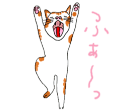 Funny Cats Various sticker #1031245