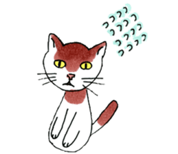Funny Cats Various sticker #1031246
