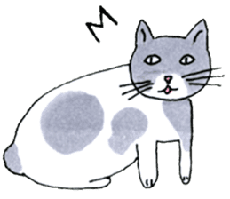 Funny Cats Various sticker #1031258