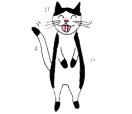Funny Cats Various sticker #1031261