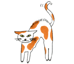 Funny Cats Various sticker #1031268