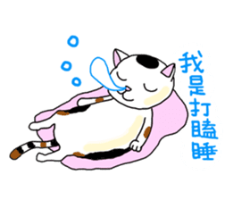 Asian Cat sticker #1031849