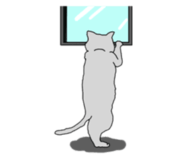 Asian Cat sticker #1031858