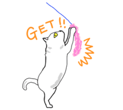 Asian Cat sticker #1031862